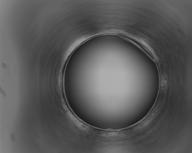 X0000091101054200708061018