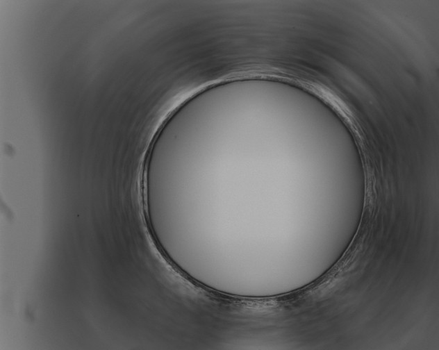 X0000091101055200708061018