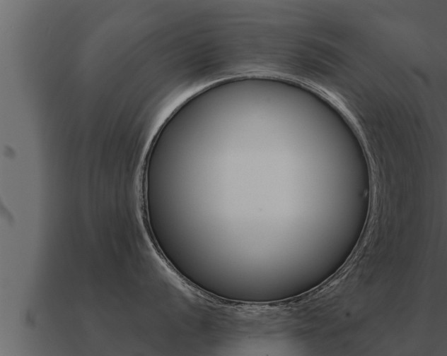 X0000091101056200708061018