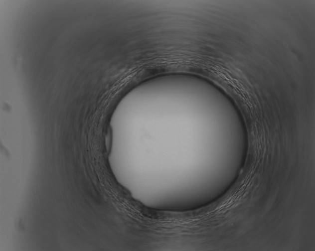 X0000091101057200708061017
