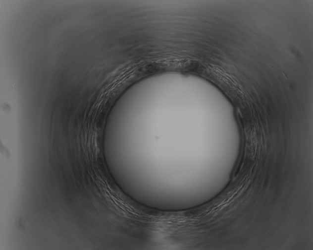 X0000091101058200708061017