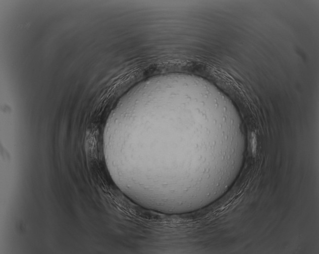 X0000091101059200708061017