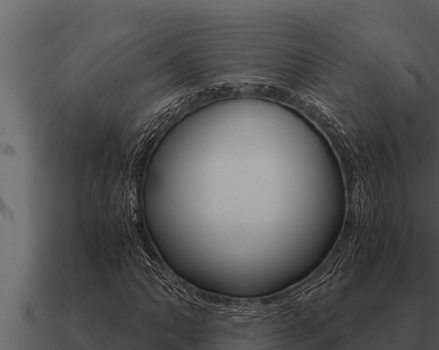X0000091101062200708061017