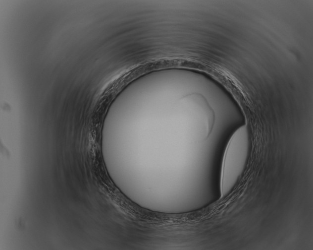 X0000091101064200708061017