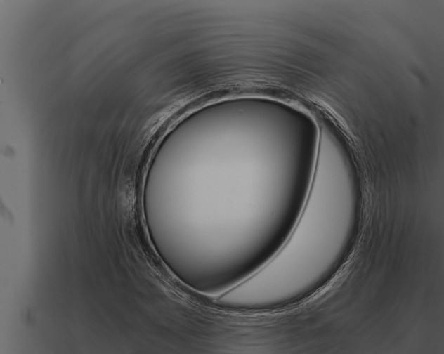 X0000091101065200708061017