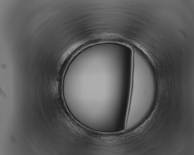 X0000091101066200708061017