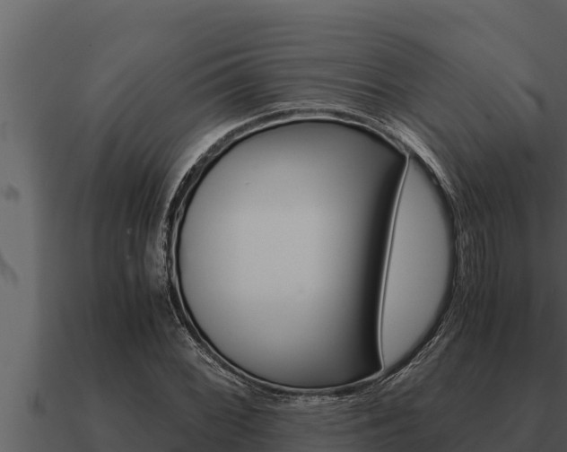 X0000091101068200708061017