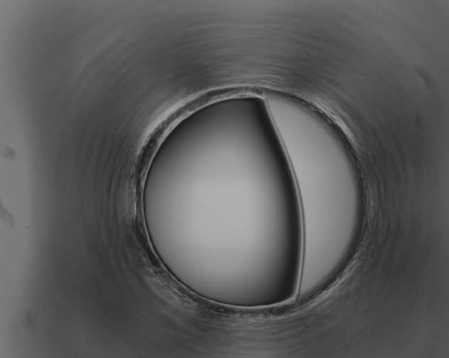 X0000091101069200708061017