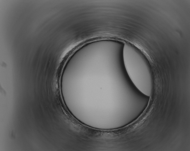 X0000091101070200708061017