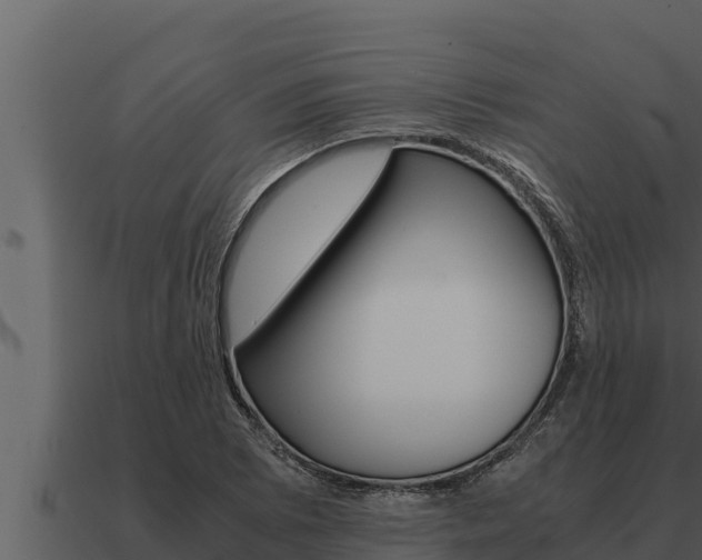 X0000091101073200708061017