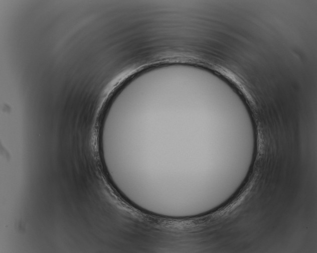 X0000091101074200708061017