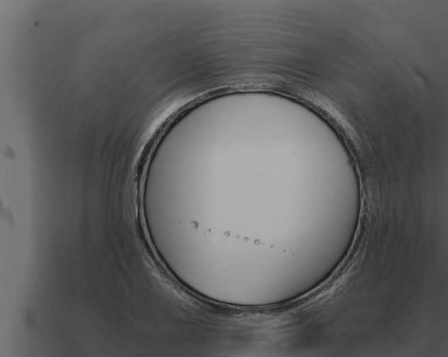 X0000091101075200708061017