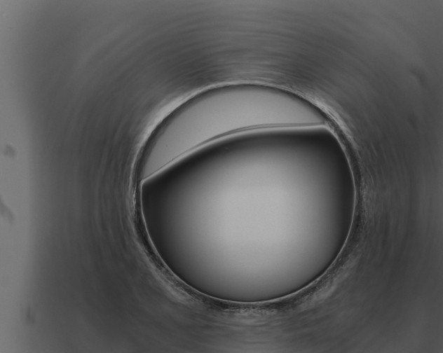 X0000091101077200708061017