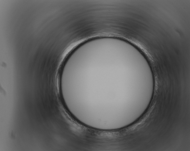 X0000091101078200708061017