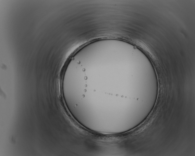 X0000091101079200708061017