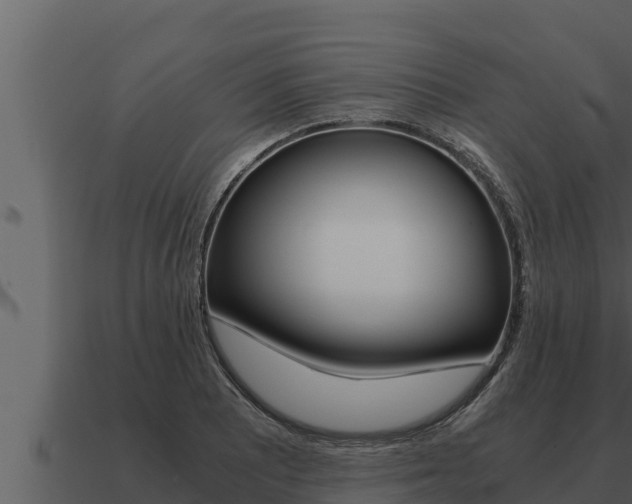 X0000091101081200708061017