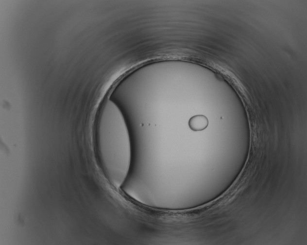 X0000091101083200708061017
