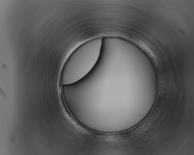 X0000091101084200708061017