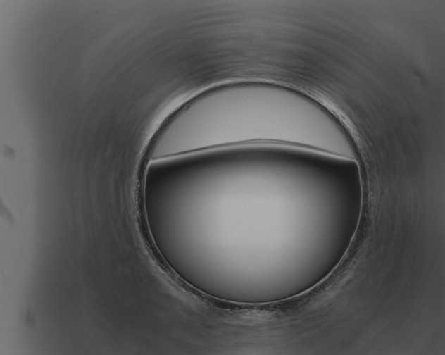 X0000091101085200708061017