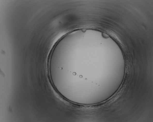 X0000091101087200708061017