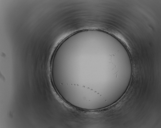 X0000091101088200708061017