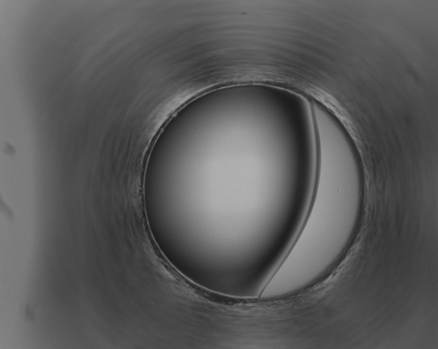 X0000091101089200708061017