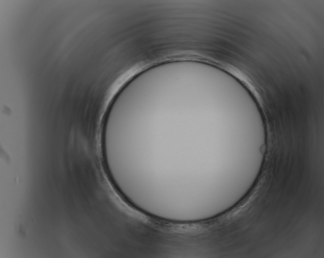 X0000091101090200708061017