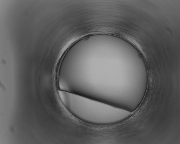 X0000091101091200708061016