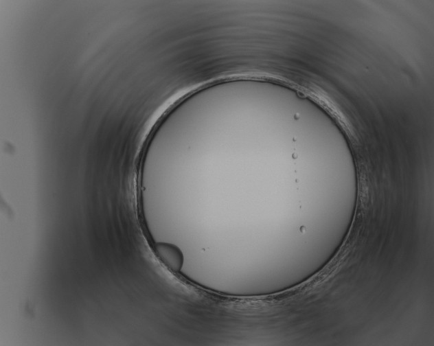 X0000091101092200708061016
