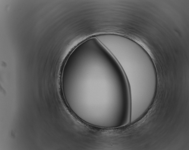 X0000091101093200708061016