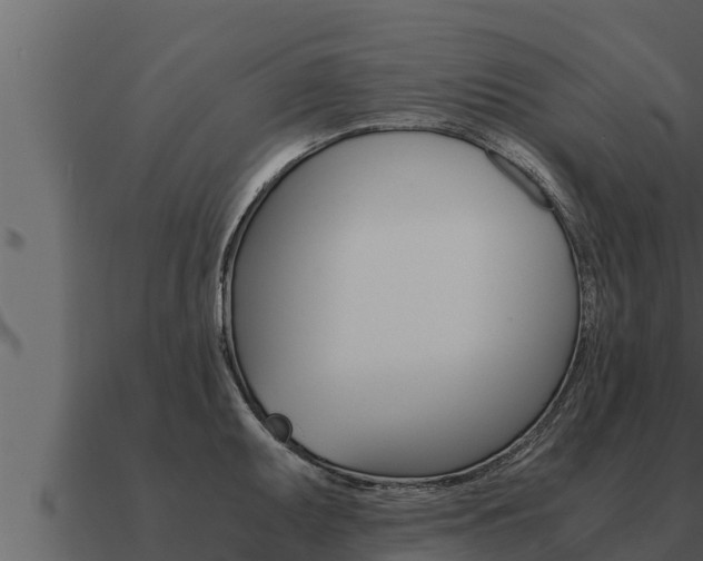X0000091101095200708061016