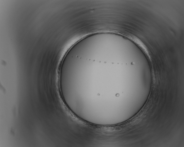 X0000091101096200708061016