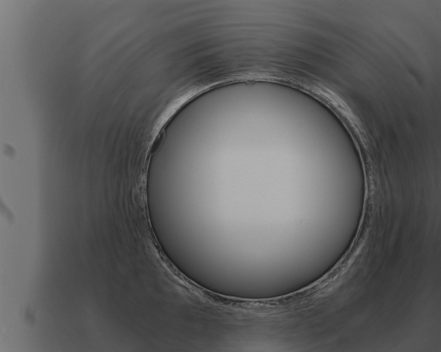 X0000091101097200708061016