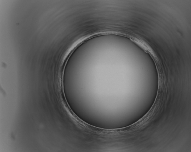 X0000091101101200708061016