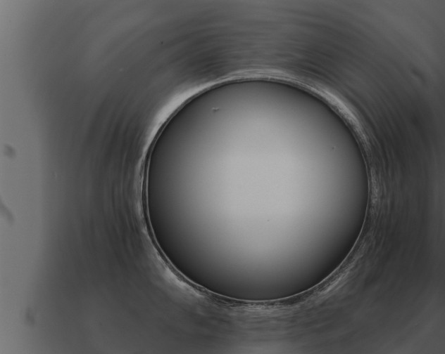 X0000091101102200708061016