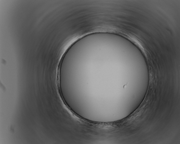 X0000091101103200708061016