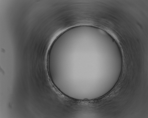 X0000091101104200708061016