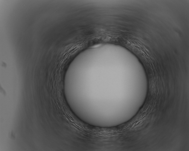 X0000091101105200708061016