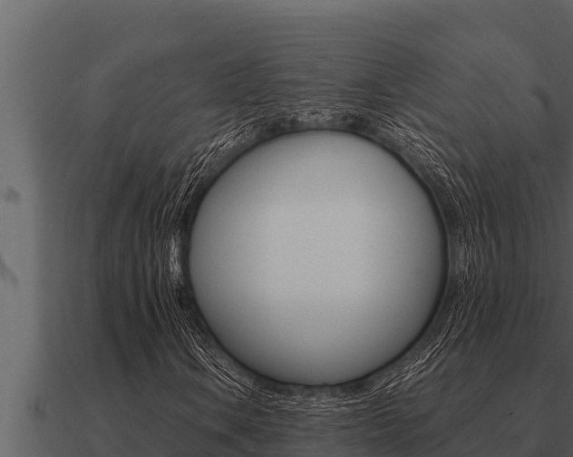 X0000091101106200708061016