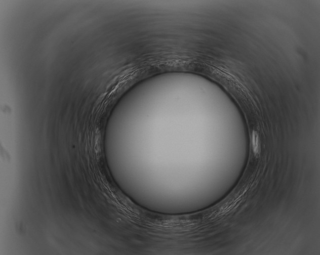 X0000091101107200708061016