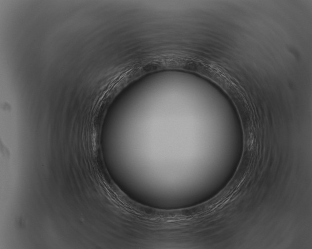 X0000091101108200708061016