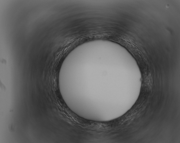 X0000091101109200708061016