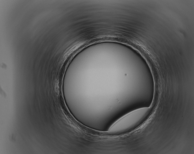 X0000091101113200708061016