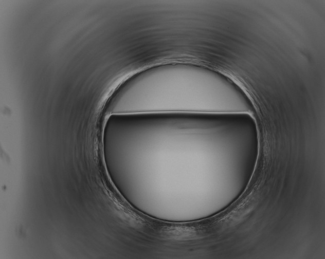 X0000091101115200708061016