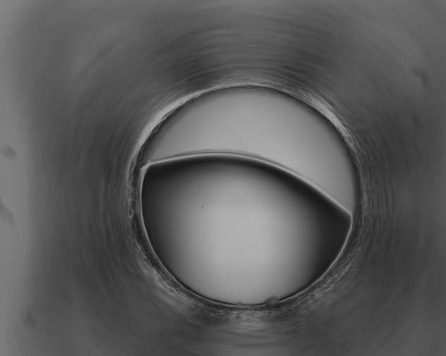 X0000091101116200708061016