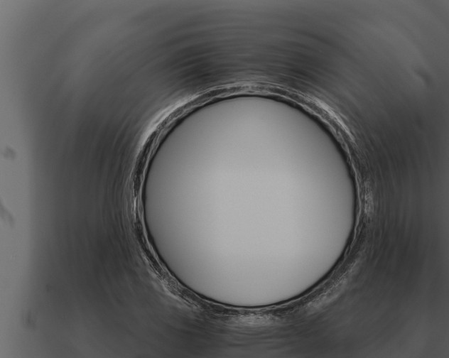 X0000091101117200708061016
