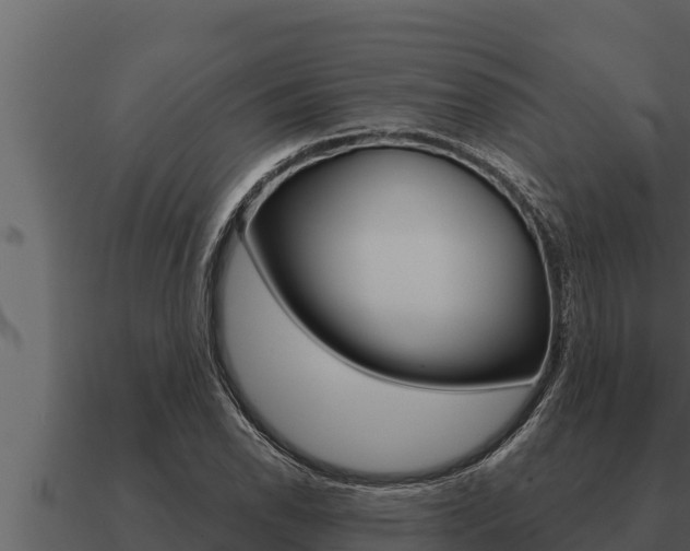 X0000091101118200708061016