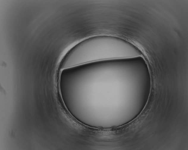X0000091101120200708061016