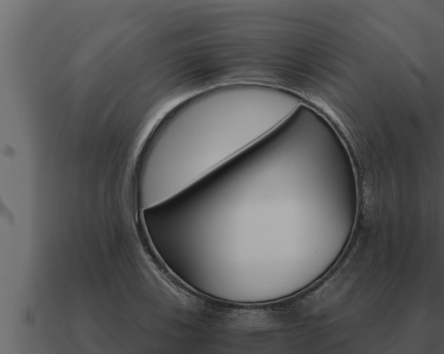 X0000091101123200708061016