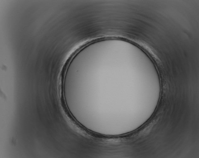 X0000091101126200708061016